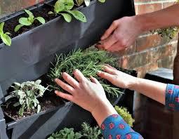 How to Maximize Small Spaces: Balcony & Patio Gardening