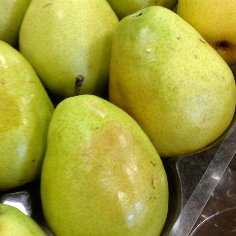 Pear Anjou