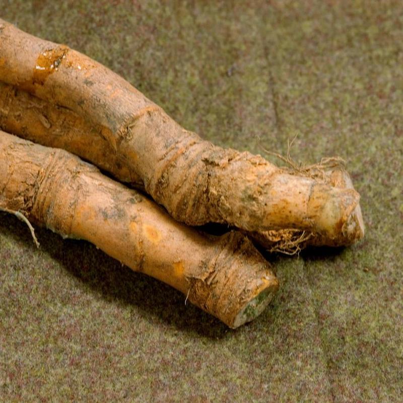 Horseradish 