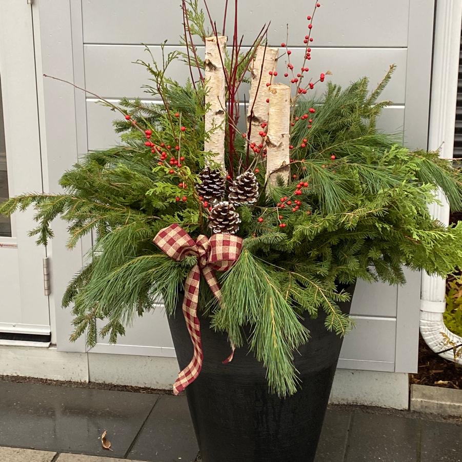 Winter Planter 