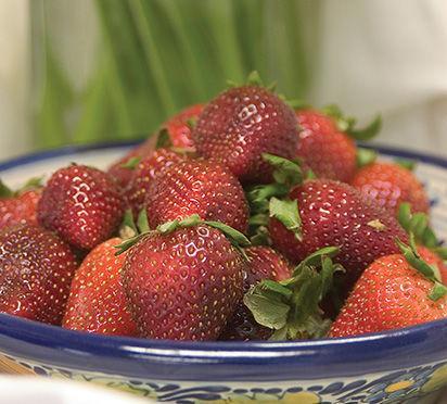 Strawberry Fort Laramie