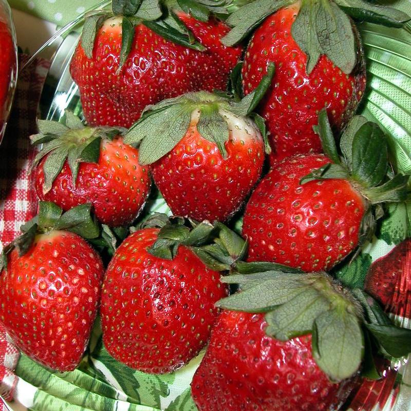 Strawberry Quinault